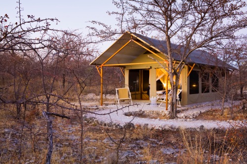 Mushara Bush Camp 003